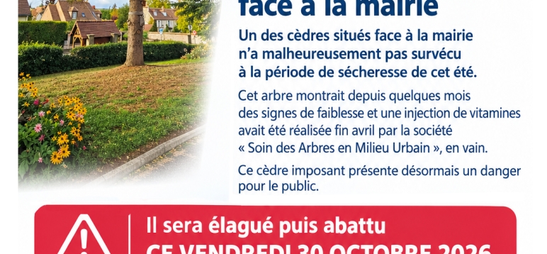 Flyer abattage cèdre vendredi 30 octobre 2026