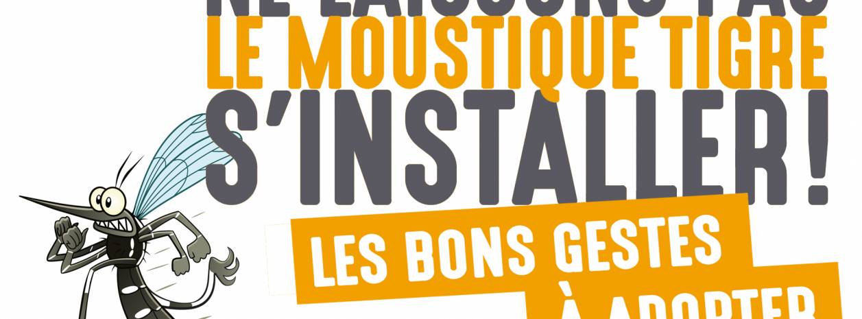 Ne laissons pas de moustique tigre s'installer