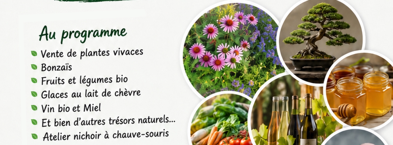 Affiche fête des plantes et de l'environnement 2026