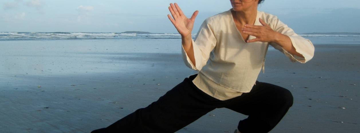 Qi Gong et Arts internes - USSNB