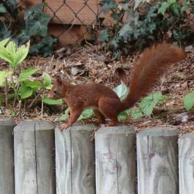 © Pascal Bouchain Mairie Saint-Nom-la-Bretêche